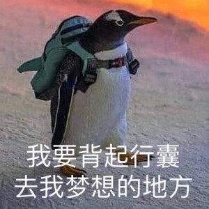 搞笑表情包