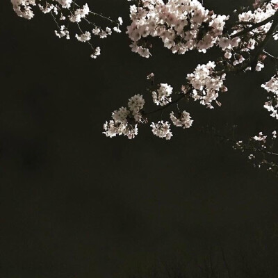 冷淡风背景图 ｜ ins背景图 ｜ 礼貌拿图