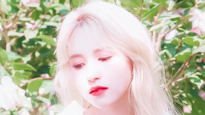 ©名井南橙光素材