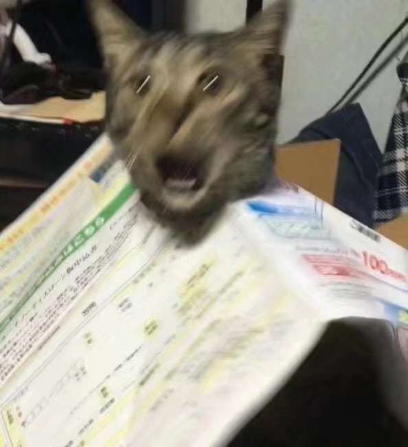 猹
表情包