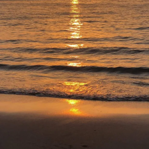 
             我们再见一面吧。
