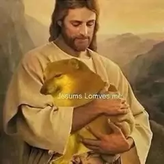 cheems和流泪猫猫头