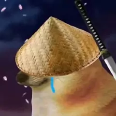 cheems和流泪猫猫头