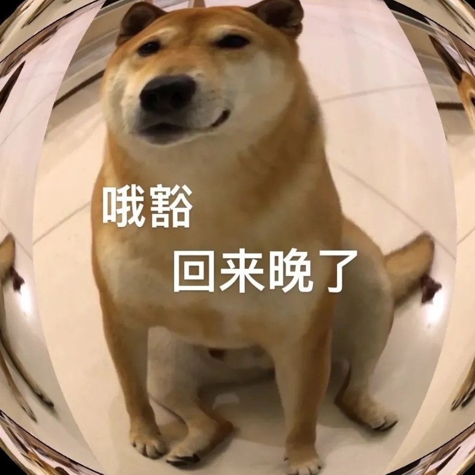 大怨种狗狗