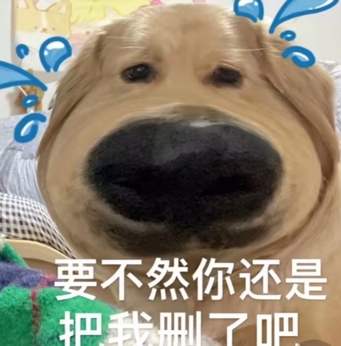 大怨种狗狗