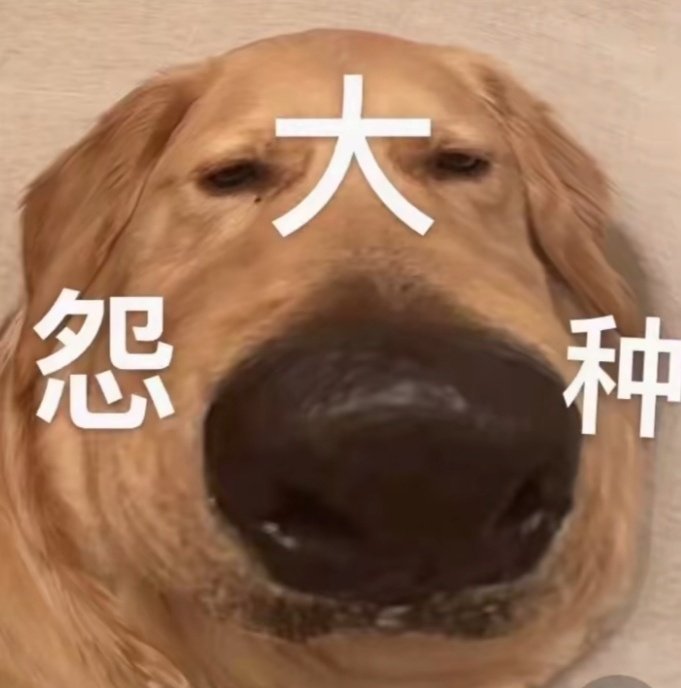 大怨种狗狗