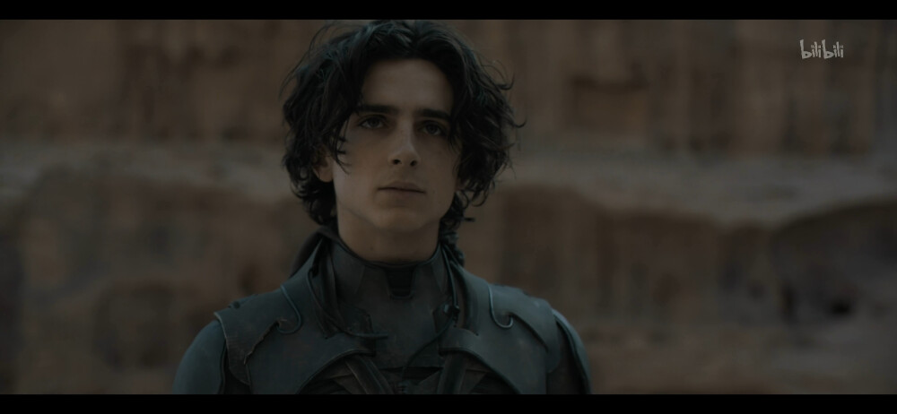 沙丘
保罗
甜茶