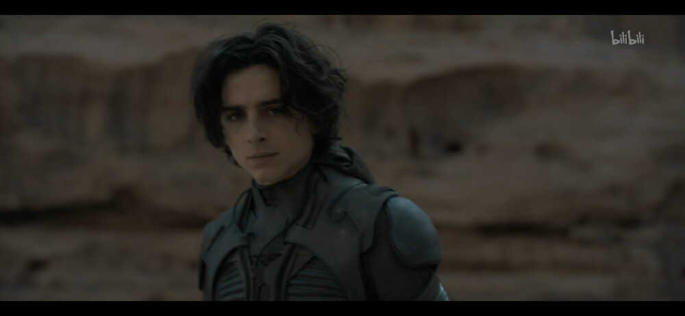 沙丘
保罗
甜茶