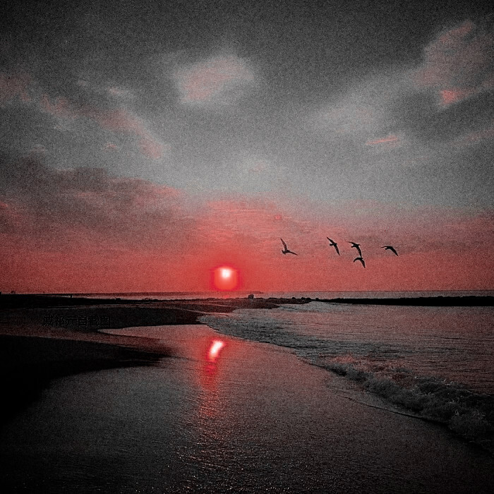 
最后一对不s鸟，飞过漫长孤独的日日夜夜,着陆在日升的海平面。
