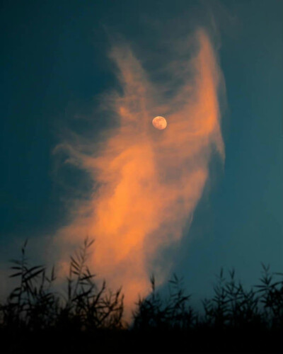 月与黄昏| my_soulwax 