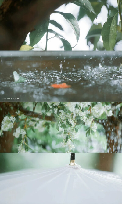 ▪️原来我很爱你
林彦俊x苏念衾｜万鹏x桑无焉
最美不是下雨天，而是和你在一把伞下躲雨
cr@千徇酒