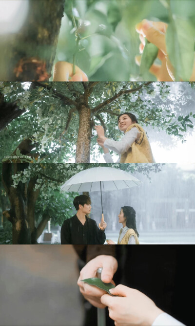 ▪️原来我很爱你
林彦俊x苏念衾｜万鹏x桑无焉
最美不是下雨天，而是和你在一把伞下躲雨
cr@千徇酒