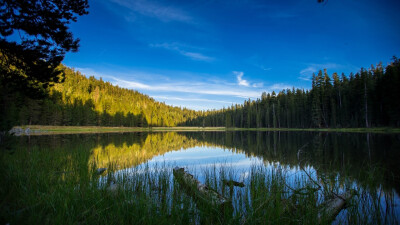 一组优胜美地公园卢肯斯湖风景5k高清动态壁纸分享给大家，美国优胜美地国家公园因其壮美的瀑布，巍峨的深谷，雄伟的冰川，花岗岩峭壁，巨大的红杉林，湖泊，辽阔的荒野地区等而闻名于世，优美的自然景色令人沉醉其中…