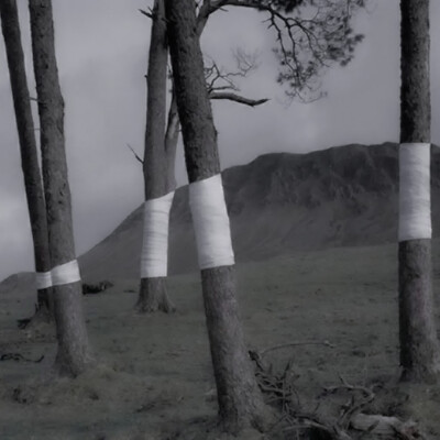 
“世界微尘里，吾宁爱与憎”
“新世界向你发出邀请”
▶翟潇闻
