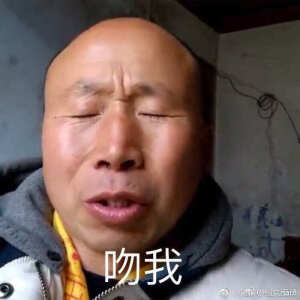 沙雕土味表情包 - 高清图片,堆糖,美图壁纸兴趣社区