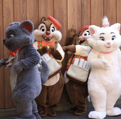 迪士尼 奇奇蒂蒂 Chip&Dale