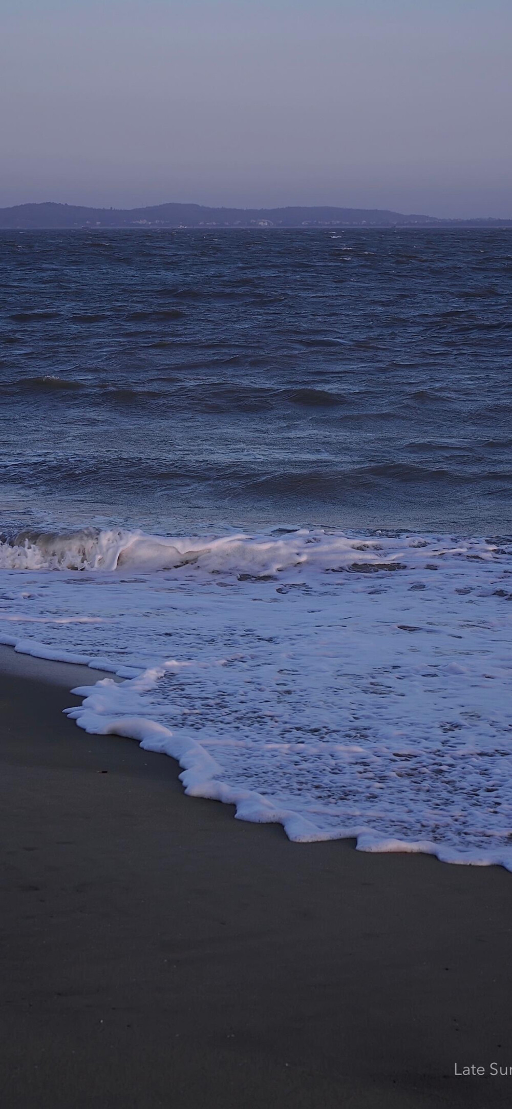 壁纸 风景 海 羊