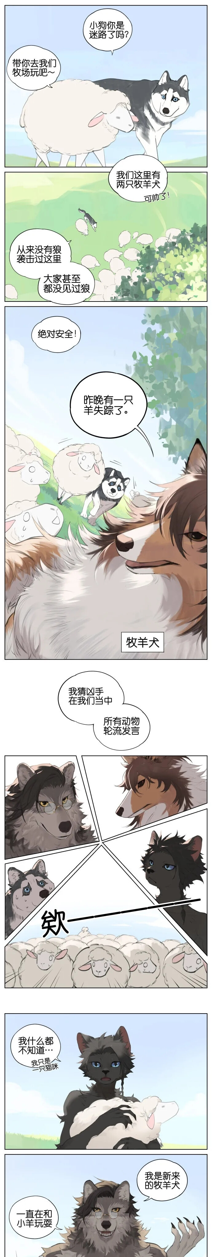 狼和牧羊犬