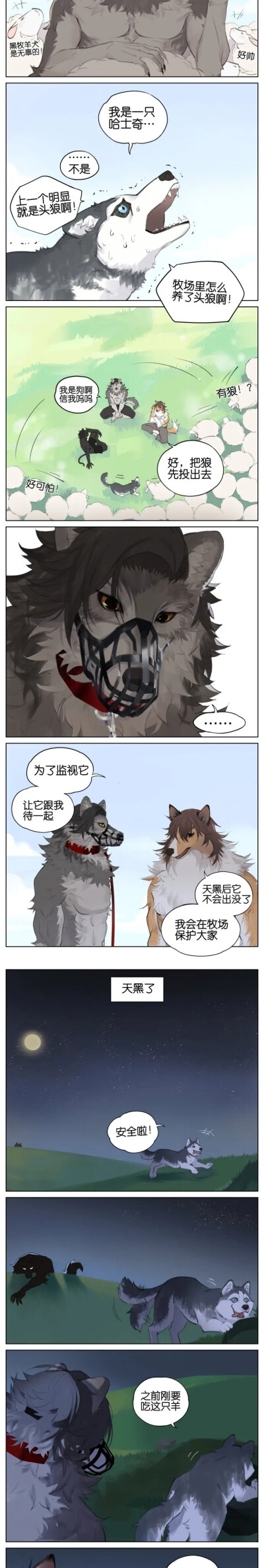 狼和牧羊犬