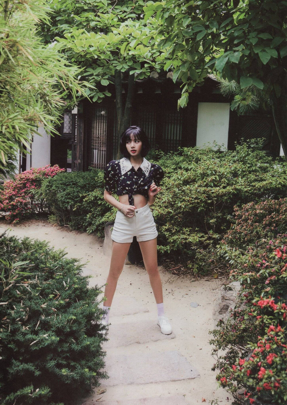 Lisa
2020 summer diary