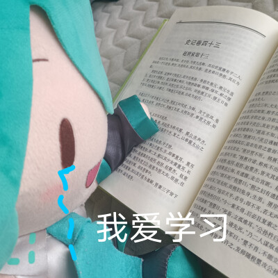 初音fufu