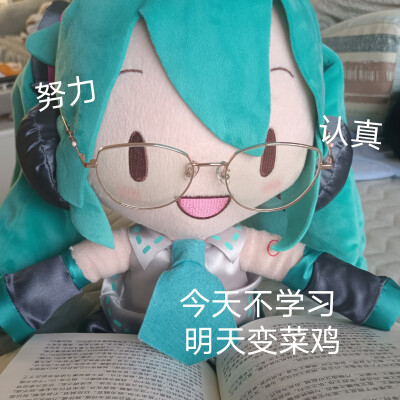 初音fufu