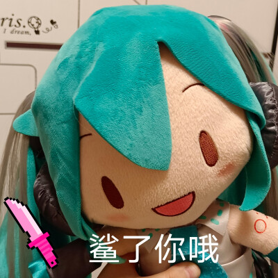 初音fufu