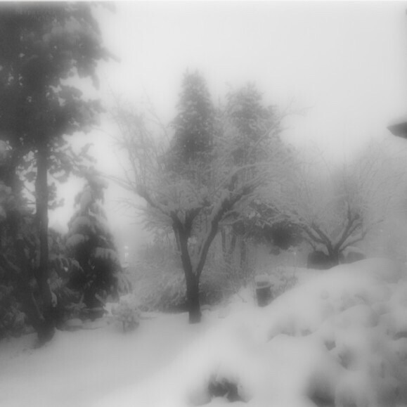 Blonde hair (in the winter of 1999*)