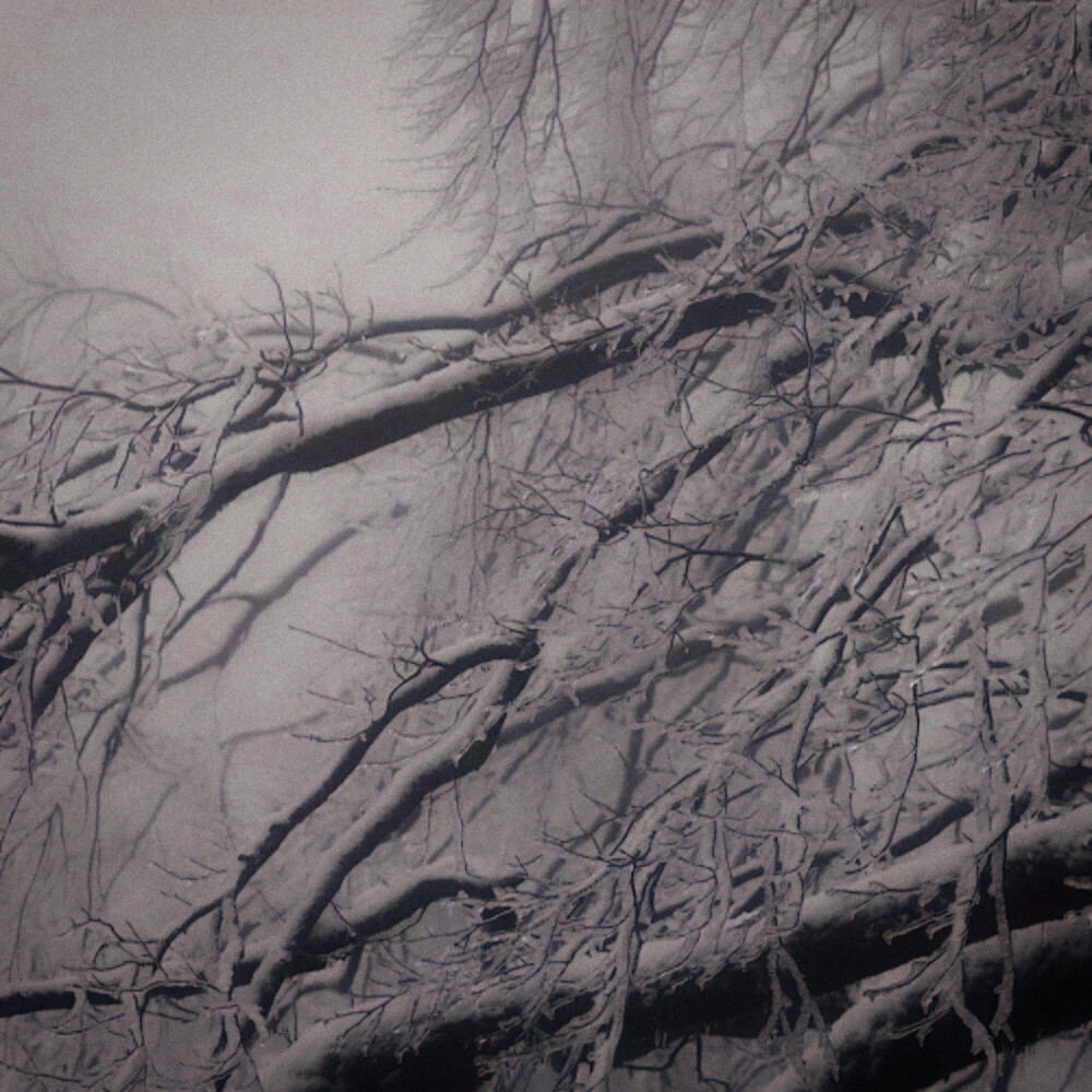 “赤道的温度从未温暖过乞力马扎罗的雪”
鞠婧祎