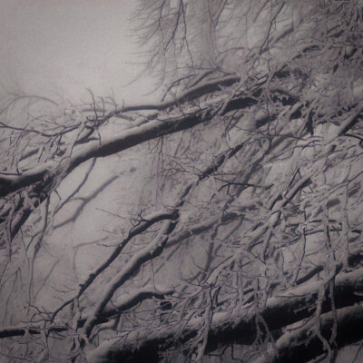 “赤道的温度从未温暖过乞力马扎罗的雪”
鞠婧祎