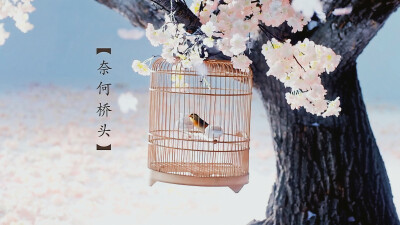 赵丽颖 | 花千骨
cr:续写思源