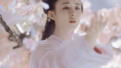 赵丽颖 | 花千骨
cr:续写思源