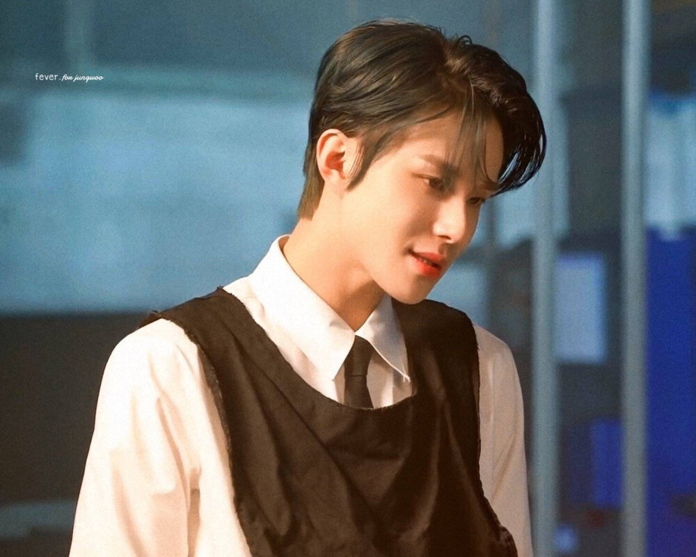 NCT 金廷祐 JUNGWOO
