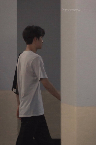 NCT 金廷祐 JUNGWOO