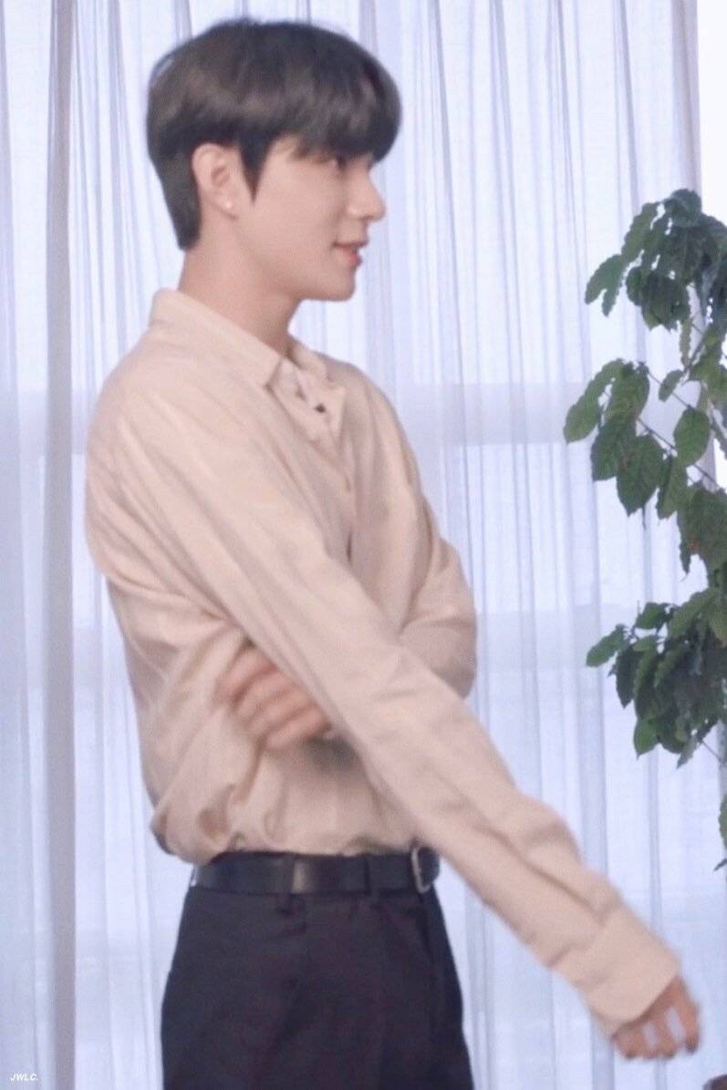 NCT 金廷祐 JUNGWOO