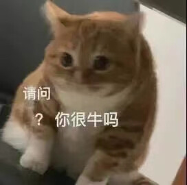 可爱的修猫~