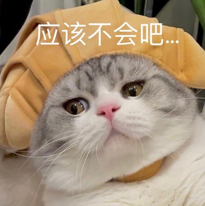 猫猫表情包