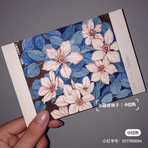 钢笔画