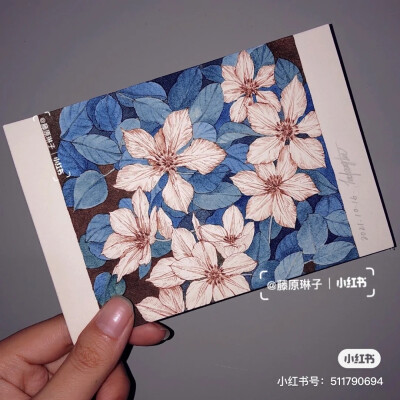 钢笔画