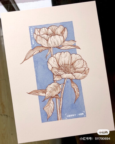 钢笔画