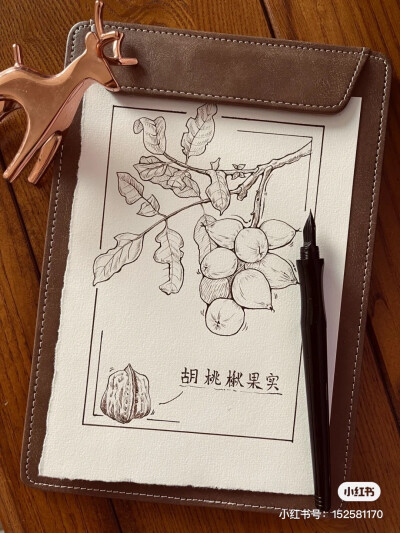 钢笔画