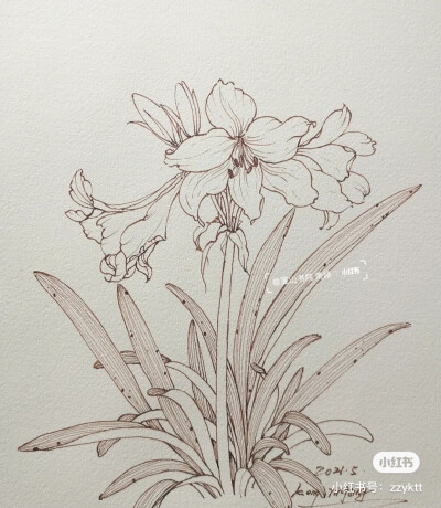 钢笔画