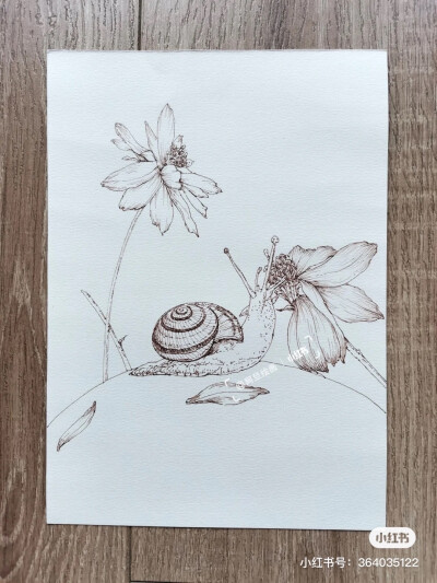 钢笔画
