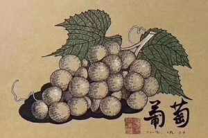 写生 静物 龙虾 荔枝 葡萄 筐 蜡烛 樱桃 柿子 苹果