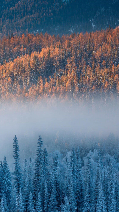 喀纳斯的冬天有多仙？不同于东北的冬天，新疆喀纳斯的冬景是一场“幻雪之旅”。©视觉中国