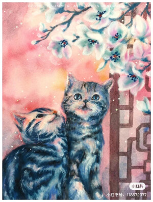 重彩油画棒 猫咪 插画 水彩