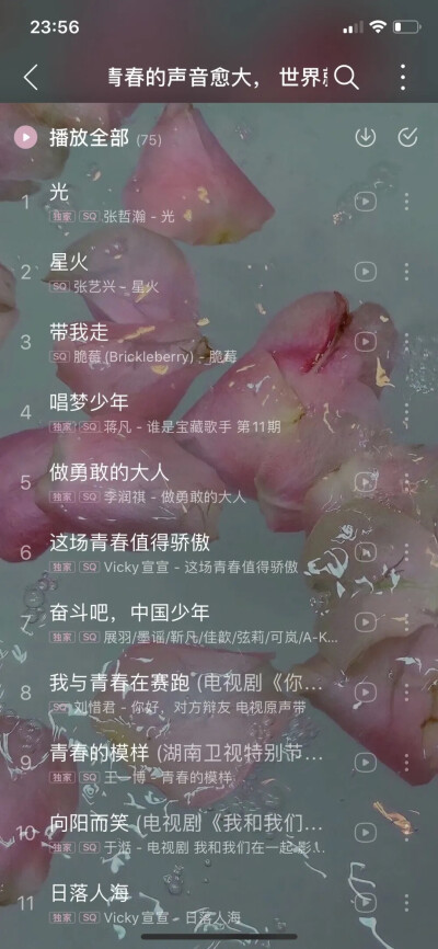 网易云主题壁纸