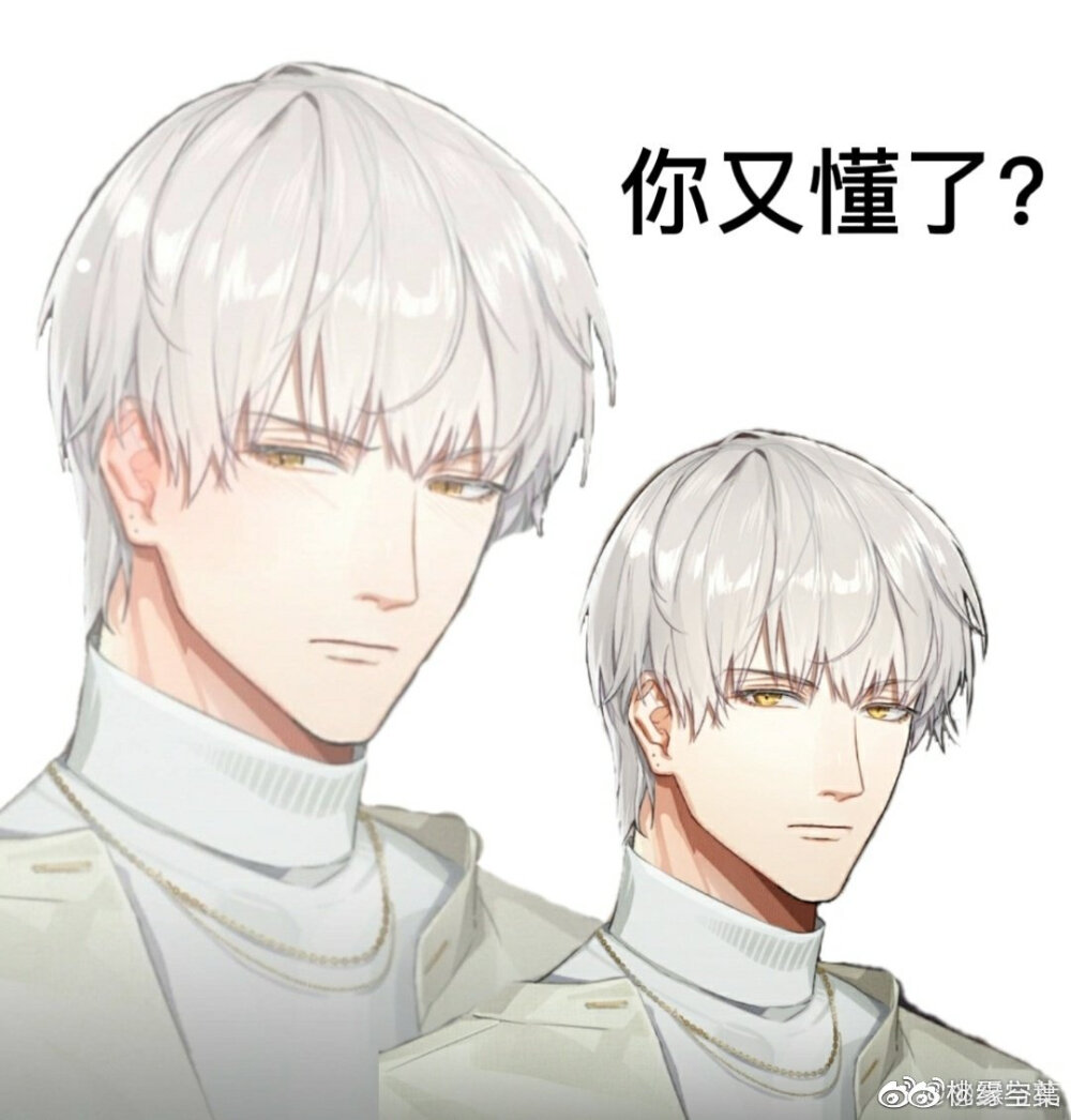 齐司礼
