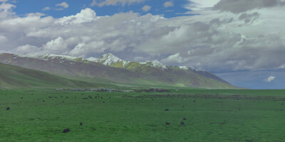 背景图呀绿色背景