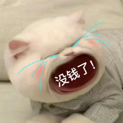 猫猫表情包（妈！ 没钱了！）
可可爱爱沙雕表情
图源wb